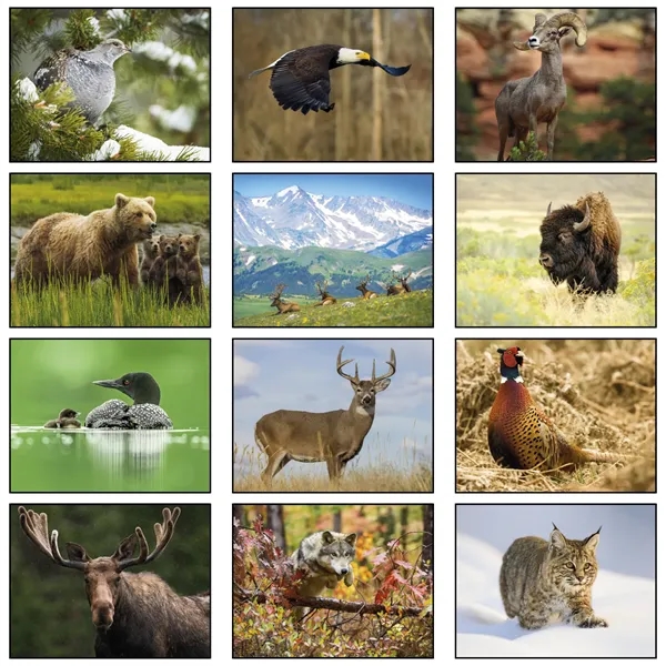 13 month animals in the wild calendar.... from ASI 61966 HPG / Beacon Promotions HPG Gold