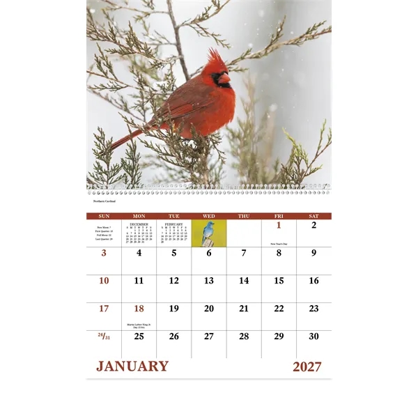 Birds of North America - Spiral... from ASI 40480 Koozie Group / Norwood Triumph Calendar