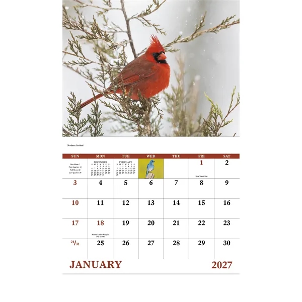 Birds of North America - Stapled... from ASI 40480 Koozie Group / Norwood Triumph Calendar