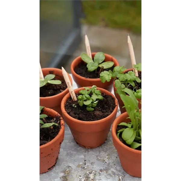 SproutWorld™ FSC® Pencil... from ASI 40480 Koozie Group