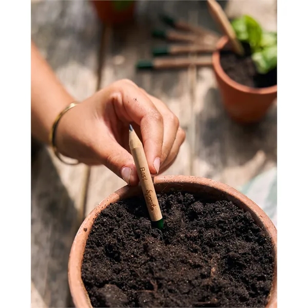 SproutWorld™ FSC® Pencil... from ASI 40480 Koozie Group