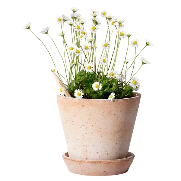 SproutWorld™ FSC® Pencil... from ASI 40480 Koozie Group