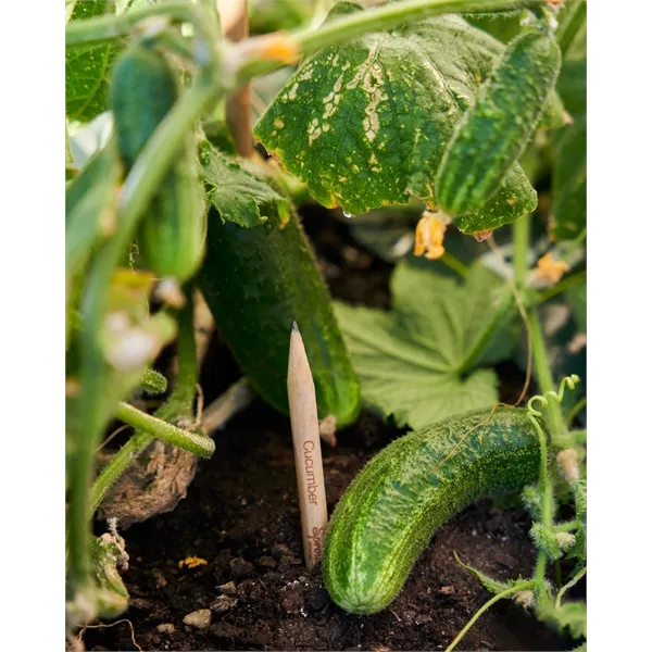 SproutWorld™ FSC® Pencil... from ASI 40480 Koozie Group