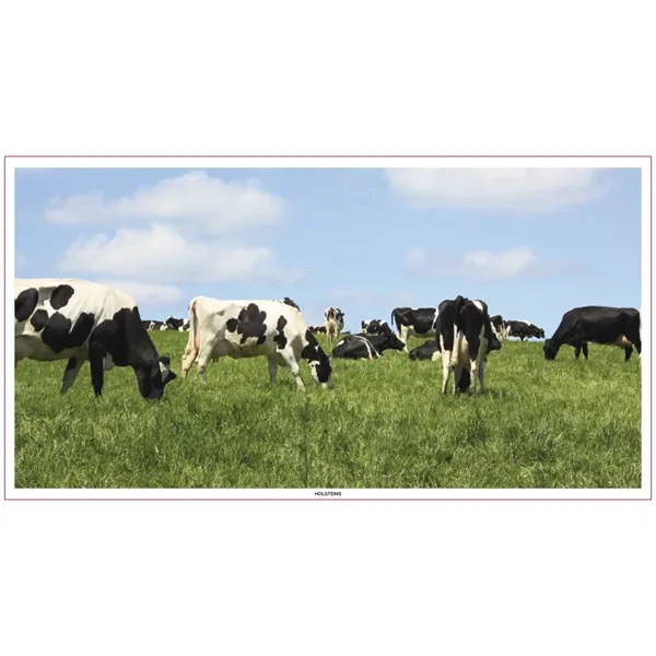 Large Everyday Farm Memo... from ASI 40480 Koozie Group