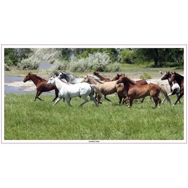 Large Everyday Farm Memo... from ASI 40480 Koozie Group