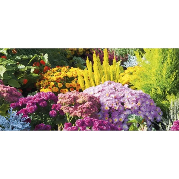 Display-A-Year White... from ASI 40480 Koozie Group