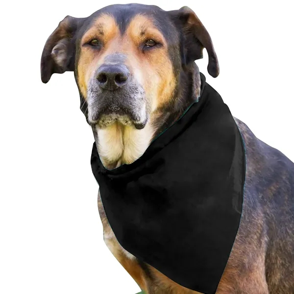 Dog Bandana.... from ASI 40480 Koozie Group