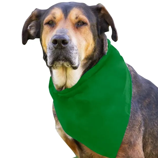 Dog Bandana.... from ASI 40480 Koozie Group