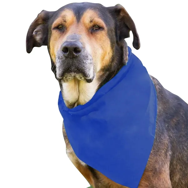 Dog Bandana.... from ASI 40480 Koozie Group
