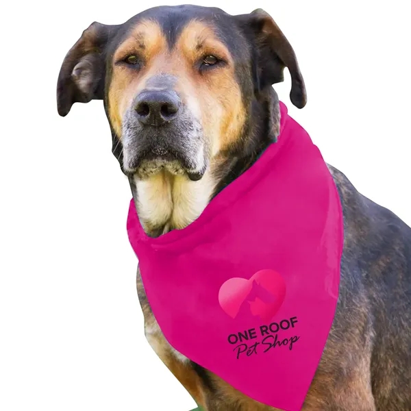 Dog Bandana.... from ASI 40480 Koozie Group