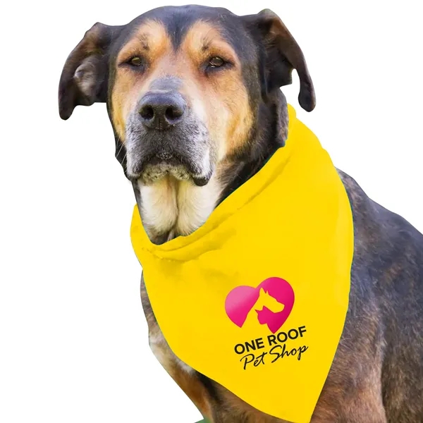 Dog Bandana.... from ASI 40480 Koozie Group