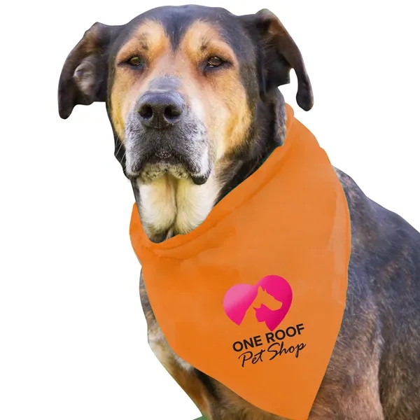Dog Bandana.... from ASI 40480 Koozie Group