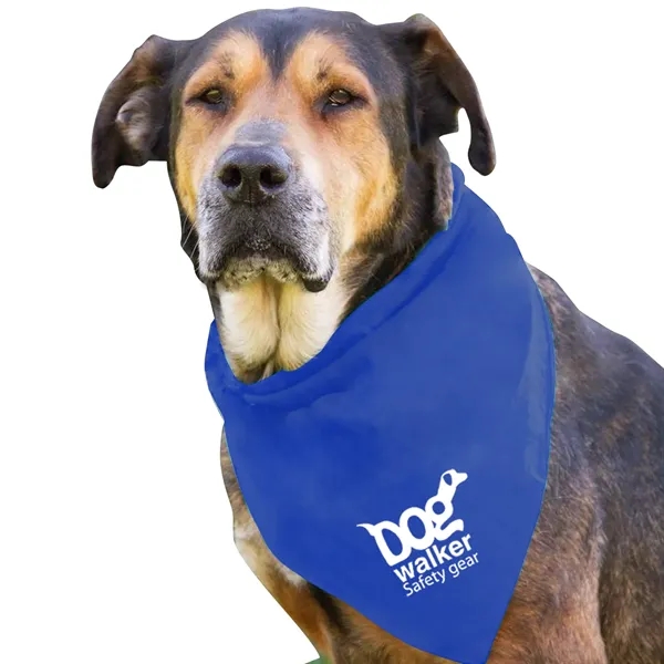 Dog Bandana.... from ASI 40480 Koozie Group
