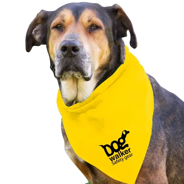 Dog Bandana.... from ASI 40480 Koozie Group