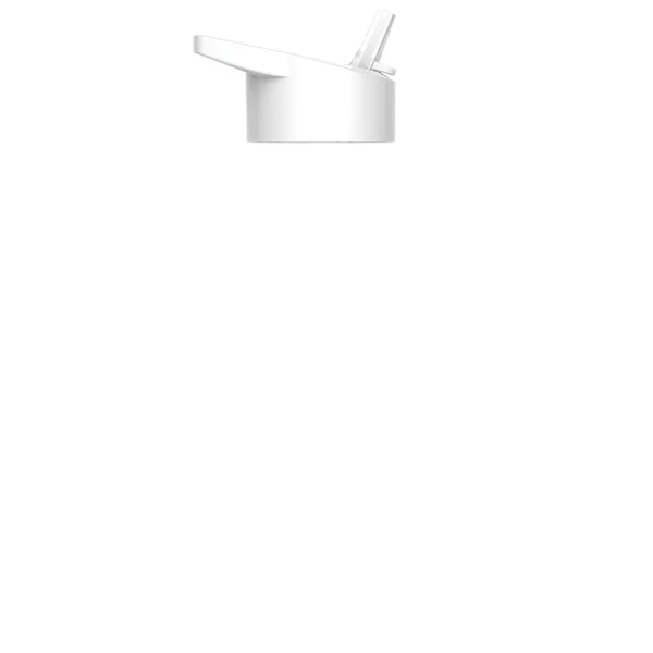 16 oz. Double Wall Insulated Bottle with Flip Straw Lid. Bottle... from ASI 40480 Koozie Group