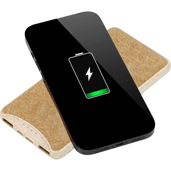 EarthTrendz™ 8,000 mAh Power Bank... from ASI 89320 Starline USA Inc