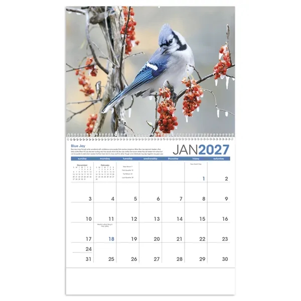 11 x 19 2024 Birds calendar on 70# paper with UV-coated... from ASI 40480 Koozie Group / Norwood Triumph Calendar