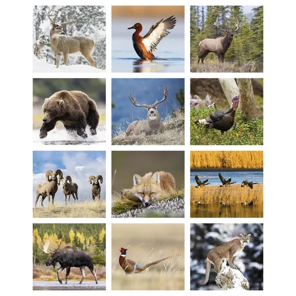 16 x 19 2024 Sportsman calendar.... from ASI 40480 Koozie Group / Norwood Triumph Calendar