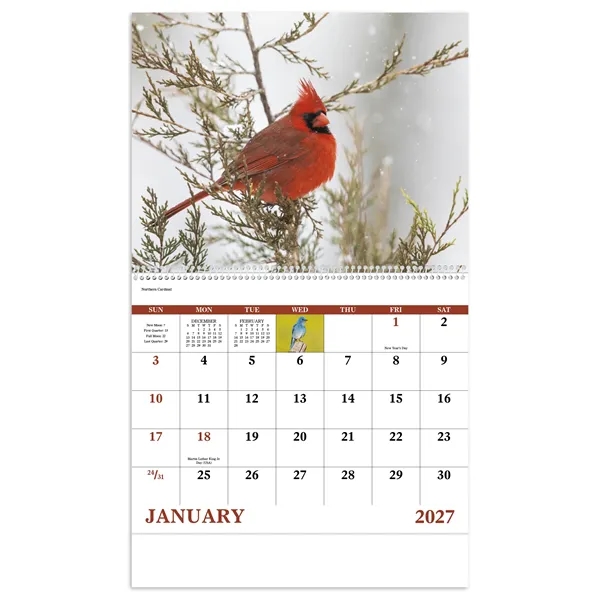 Birds of North America - Spiral... from ASI 40480 Koozie Group / Norwood Triumph Calendar