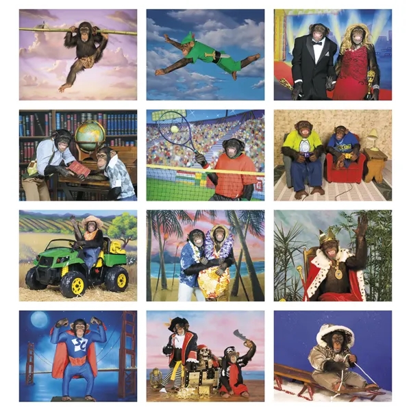 Monkey Mischief - Stapled... from ASI 40480 Koozie Group / Norwood Triumph Calendar