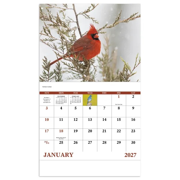 Birds of North America - Stapled... from ASI 40480 Koozie Group / Norwood Triumph Calendar