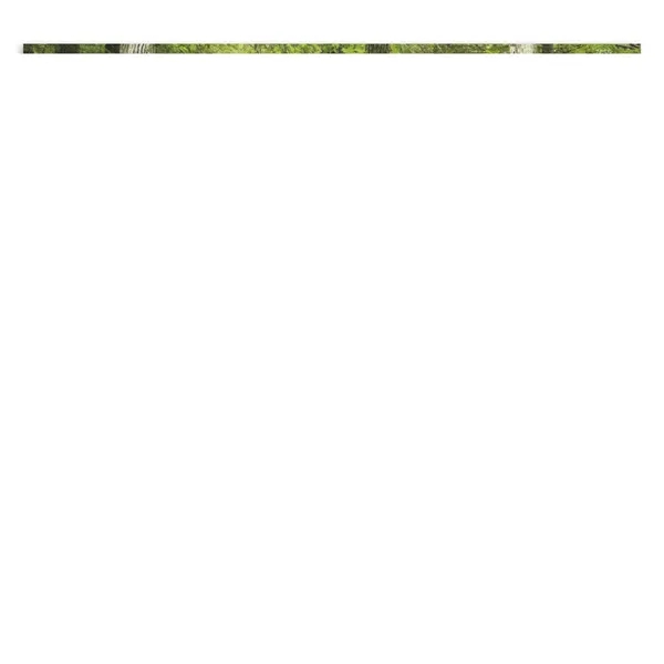 Everlasting Word - Stapled... from ASI 40480 Koozie Group / Norwood Triumph Calendar