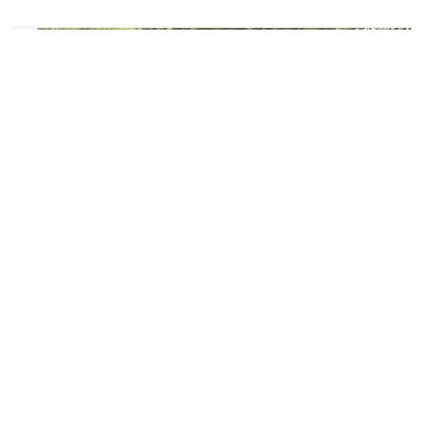 Street Rods - Stapled... from ASI 40480 Koozie Group / Norwood Triumph Calendar