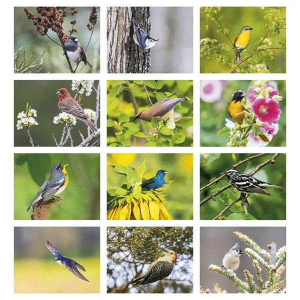 Songbirds Appointment Calendar - Stapled... from ASI 40480 Koozie Group / HotLine®