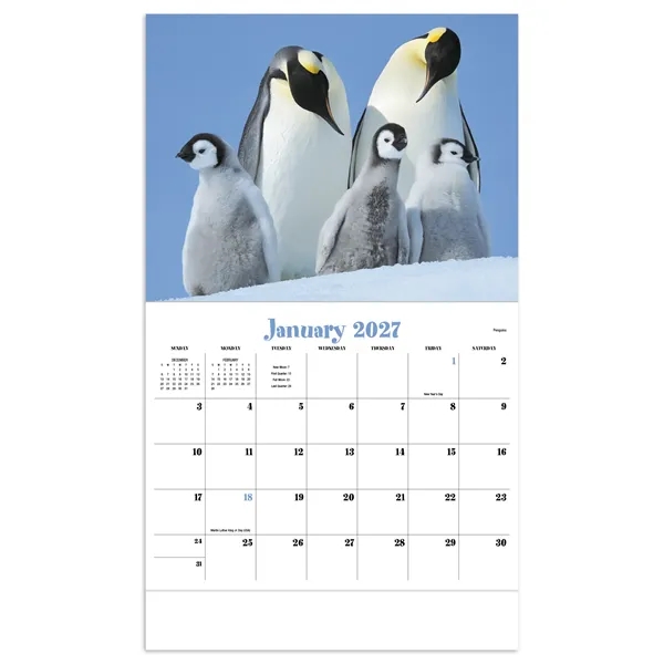 Animal Babies Appointment Calendar - Stapled... from ASI 40480 Koozie Group / HotLine®