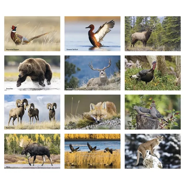 Press-N-Stick Sportsmen Calendar... from ASI 40480 Koozie Group