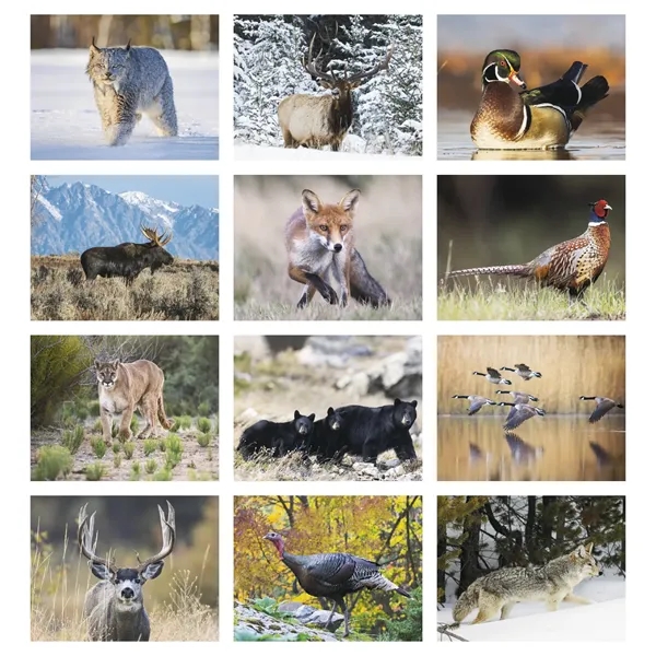 North American Wildlife... from ASI 40480 Koozie Group / Norwood Triumph Calendar