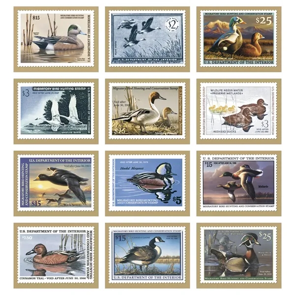 Duck Stamps... from ASI 40480 Koozie Group / Norwood Triumph Calendar