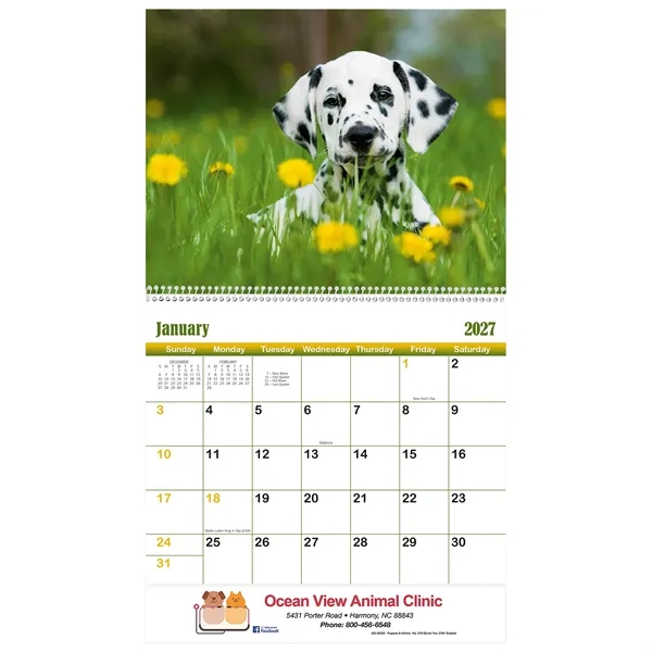 13 month puppies and kitten calendar.... from ASI 61966 HPG / Beacon Promotions HPG Gold