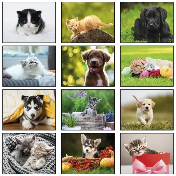 13 month puppies and kitten calendar.... from ASI 61966 HPG / Beacon Promotions HPG Gold