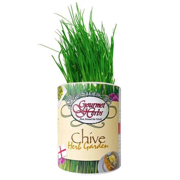 Chive Garden in Eco-Friendly Grocan... from ASI 58295 Groline