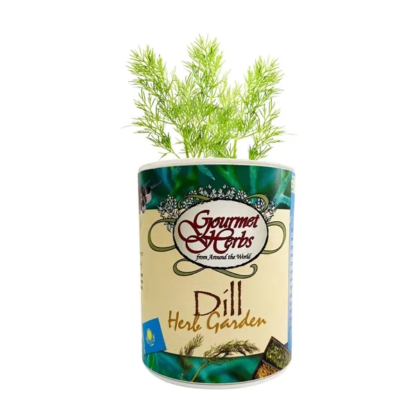 Dill Garden in Eco-Friendly Grocan... from ASI 58295 Groline
