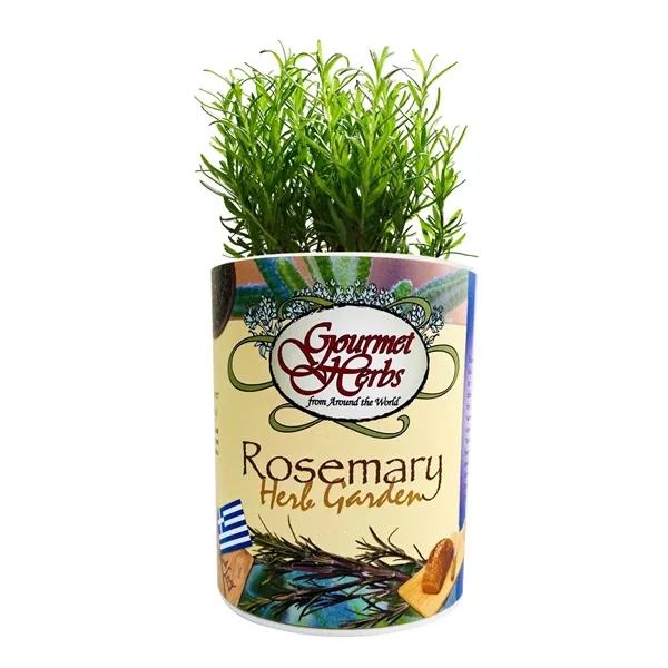 Rosemary Garden in Eco-Friendly Grocan... from ASI 58295 Groline