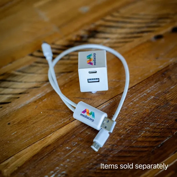 UL A+C Wall Charger... from ASI 30208 A P Specialties / AP Specialties