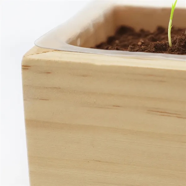 Wooden cube grow kit with a seed packet, waterproof protective liner,... from ASI 54100 Fields Manufacturing Inc / Fields