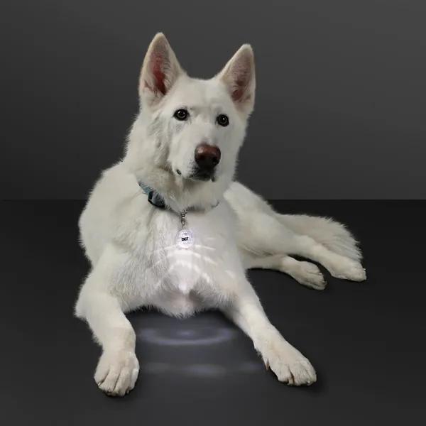 Light Projecting Pet Light and LED Keychain; Blank & Imprint Pricing... from ASI 34194 ALightPromos