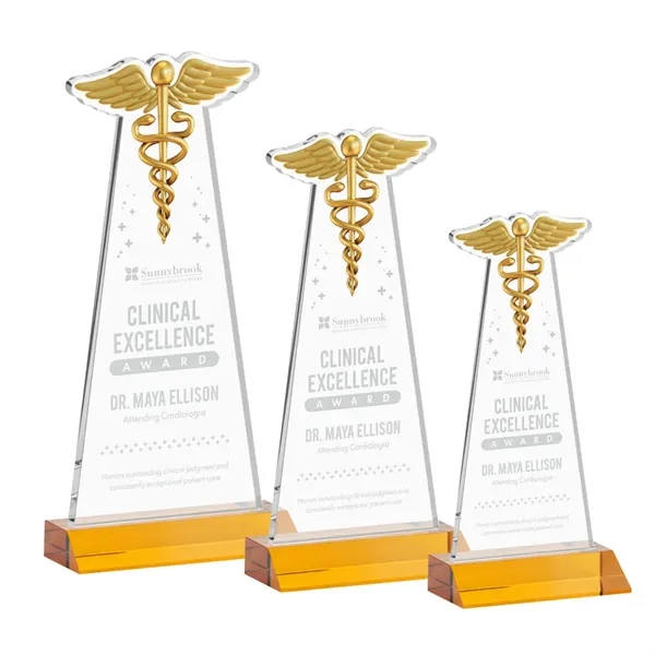 Caduceus Award - Amber... from ASI 84592 St Regis Group / St Regis