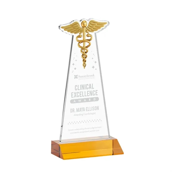 Caduceus Award - Amber... from ASI 84592 St Regis Group / St Regis