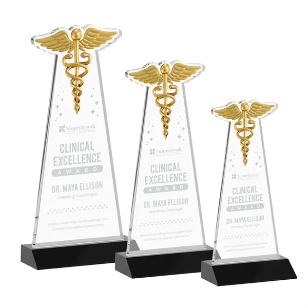 Caduceus Award - Black... from ASI 84592 St Regis Group / St Regis