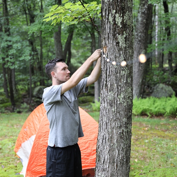 Luci Solar String Lights harness the power of the sun and... from ASI 46170 Compass Industries Inc