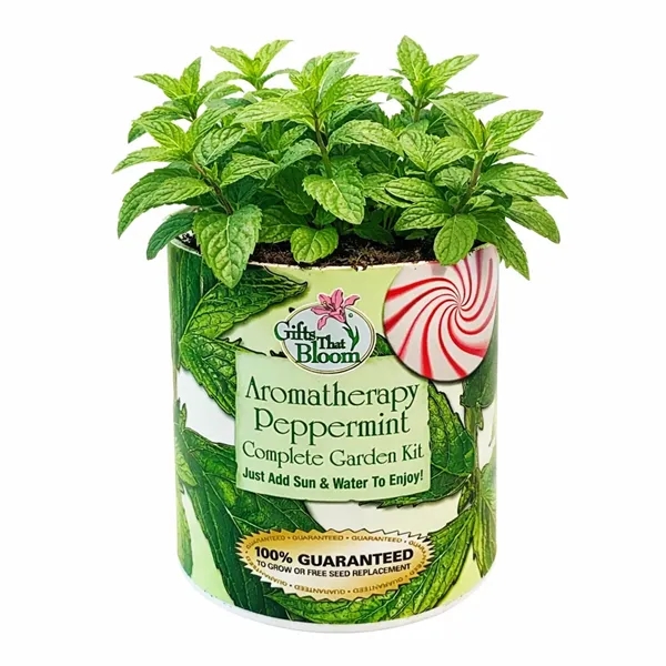 Aromatherapy Peppermint  Garden in Eco-Friendly Garden... from ASI 58295 Groline