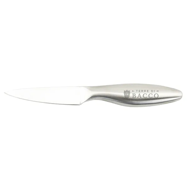All brushed stainless steel small cheese knife.... from ASI 55450 Franmara Inc