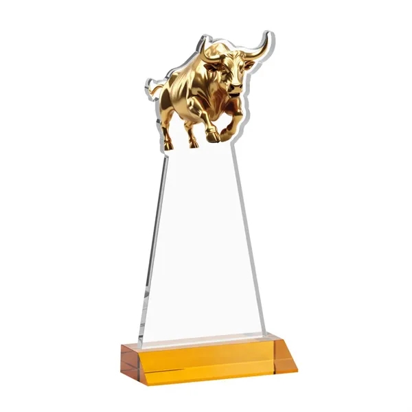 Raging Bull Award - Amber... from ASI 84592 St Regis Group / St Regis