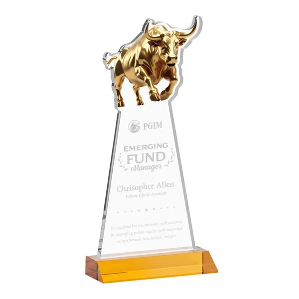 Raging Bull Award - Amber... from ASI 84592 St Regis Group / St Regis