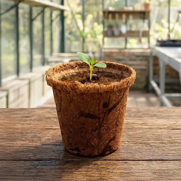 Coco planter kit featuring a coir planter, seeds, soil disk and... from ASI 54100 Fields Manufacturing Inc / Fields