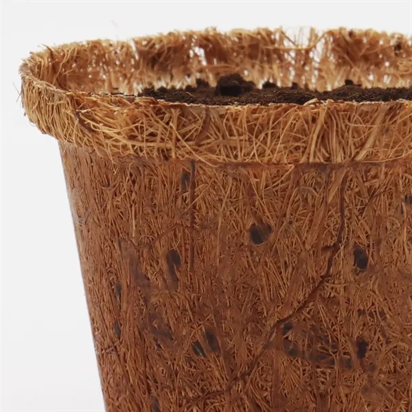 Coco planter kit featuring a coir planter, seeds, soil disk and... from ASI 54100 Fields Manufacturing Inc / Fields